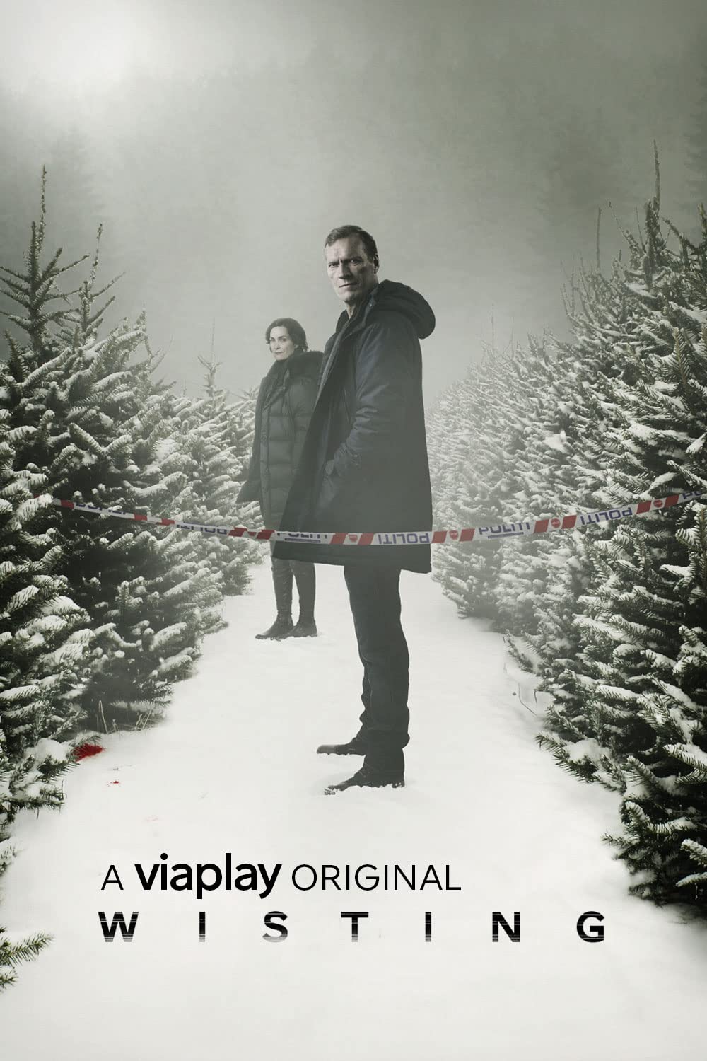 Сериал Детектив Вистинг смотреть онлайн!